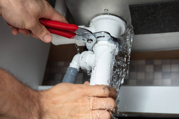 Best Flood restoration services  in Lugoff, SC