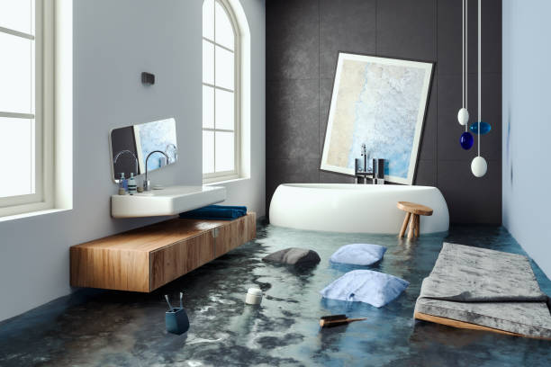 Best Basement water damage restoration  in Lugoff, SC