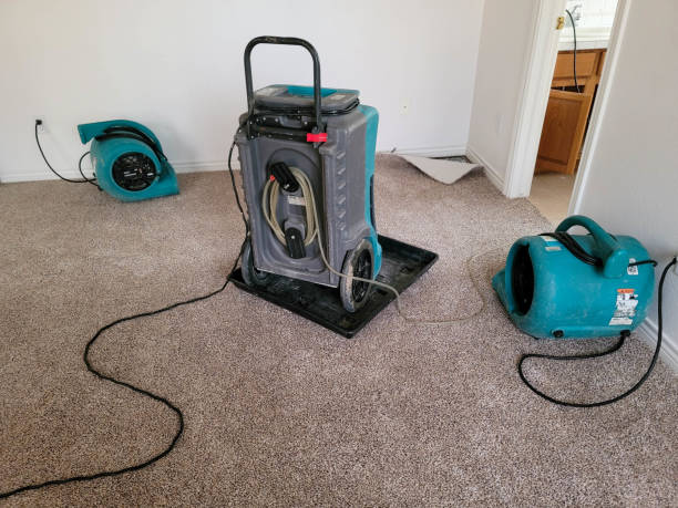 Best Flood restoration services  in Lugoff, SC