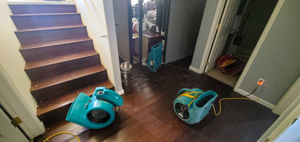 Best Water damage restoration near me  in Lugoff, SC