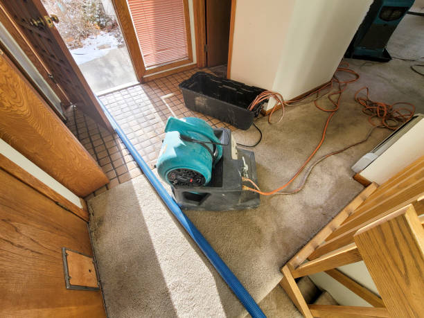 Best 24/7 water damage repair  in Lugoff, SC