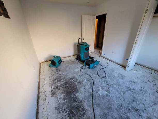 Best Residential water damage restoration  in Lugoff, SC