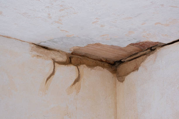 Best Flood damage cleanup  in Lugoff, SC