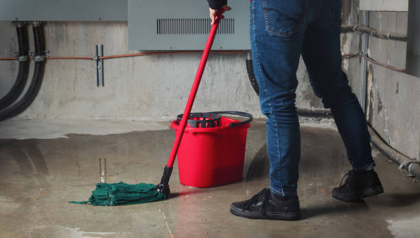 Best Commercial water damage restoration  in Lugoff, SC