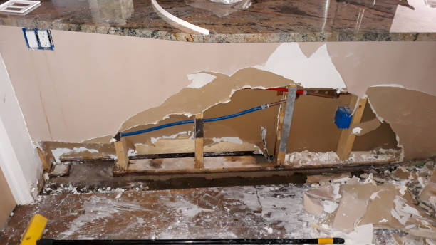 Best Local water damage restoration  in Lugoff, SC
