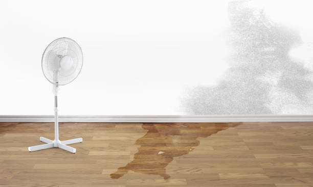 Carpet water damage restoration in SC