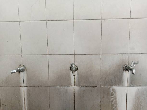 Best Water damage repair service  in Lugoff, SC