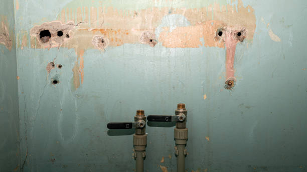  Lugoff, SC Water damage restoration Pros