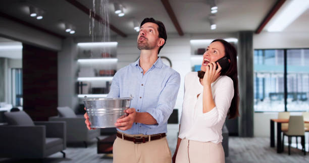 Best Mold removal after water damage  in Lugoff, SC