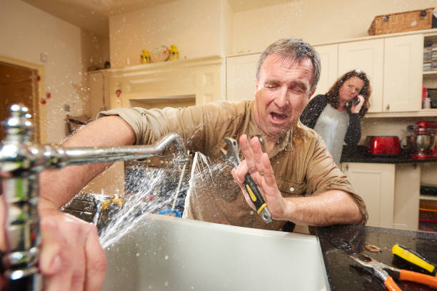 Best Water damage cleanup near me  in Lugoff, SC